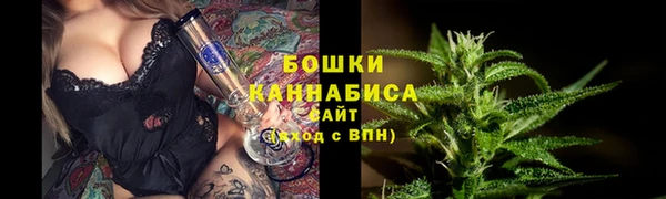 гидра Володарск