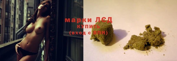 гидра Володарск