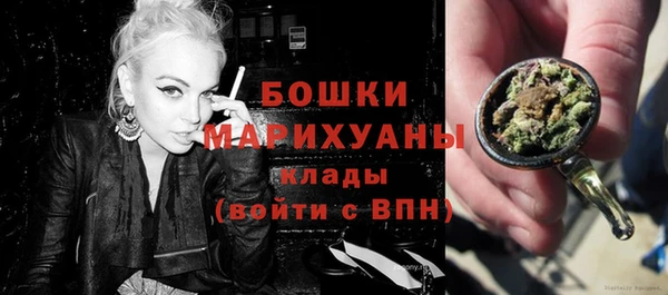 гидра Володарск