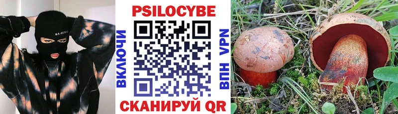 купить наркотик  Воткинск  Псилоцибиновые грибы мицелий 