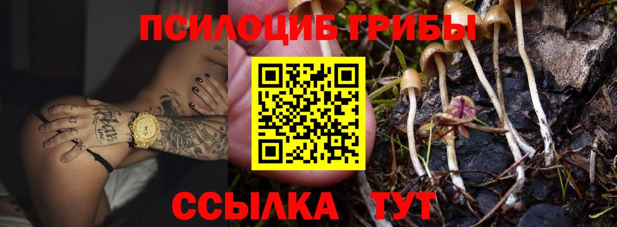 Псилоцибиновые грибы прущие грибы Воткинск