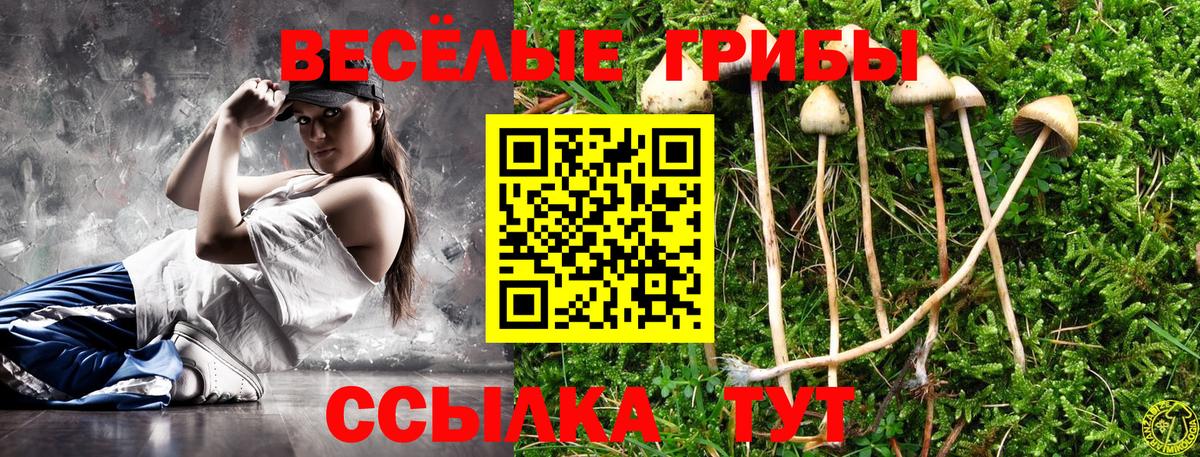 Галлюциногенные грибы MAGIC MUSHROOMS  Псилоцибиновые грибы Magic Shrooms  Воткинск 